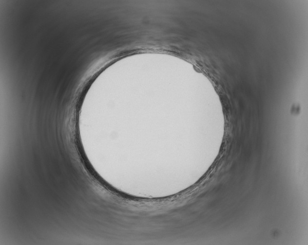 X0000116680005201001251310