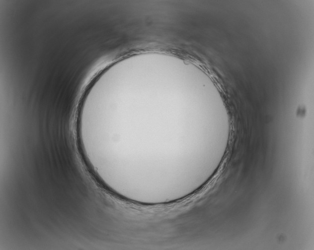 X0000116680006201001251310