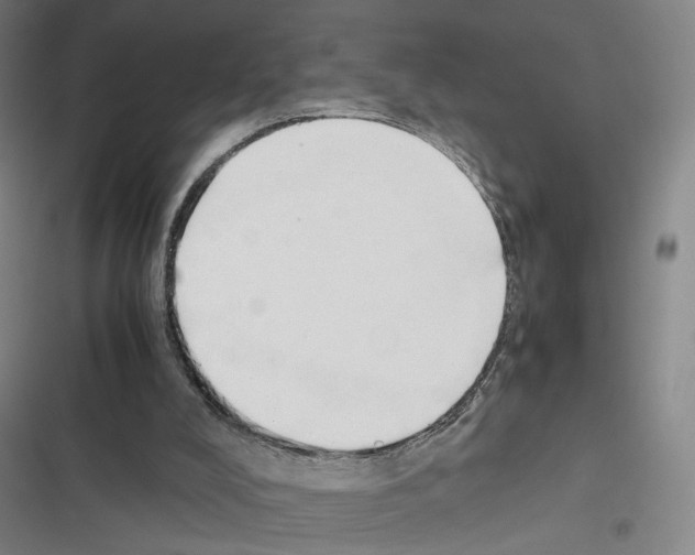 X0000116680008201001251310