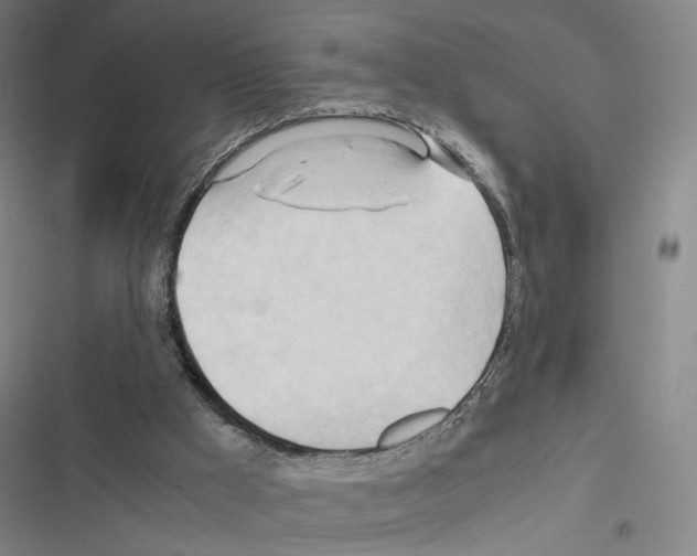 X0000116680009201001251309