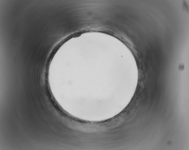 X0000116680012201001251309