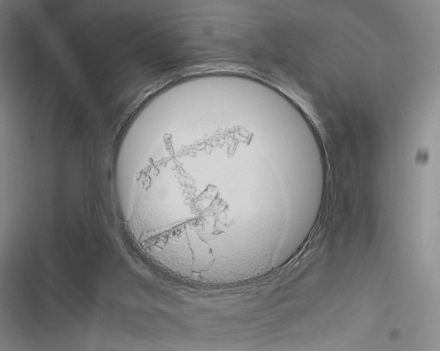 X0000116680013201001251309