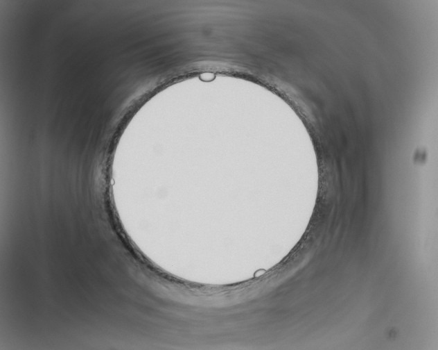 X0000116680015201001251309