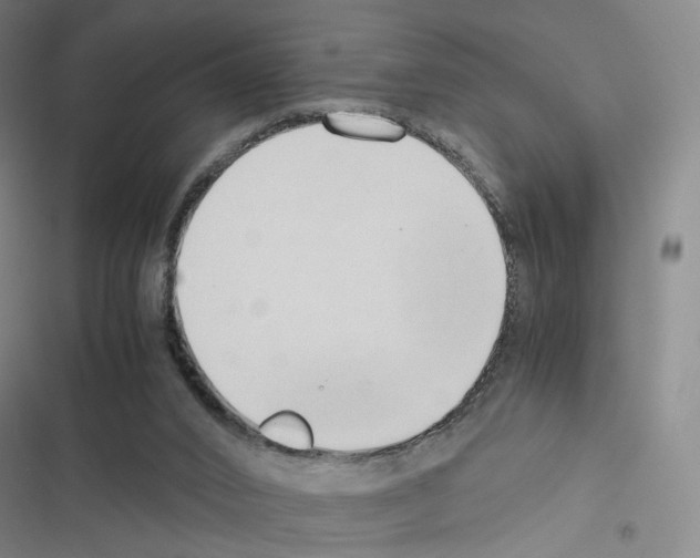 X0000116680016201001251309