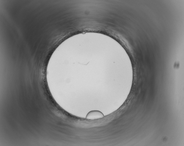 X0000116680017201001251309