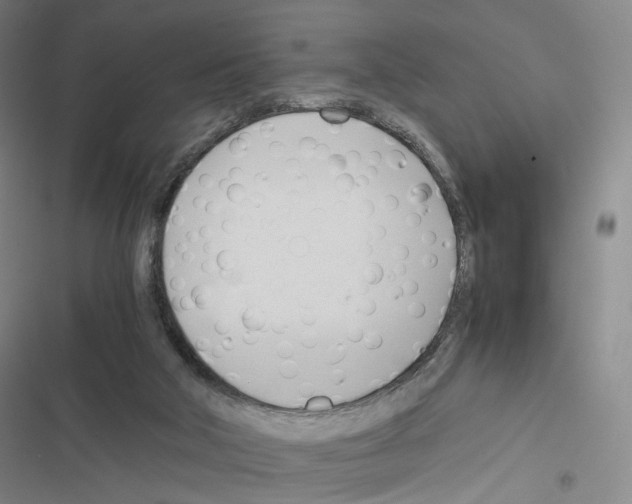 X0000116680018201001251309