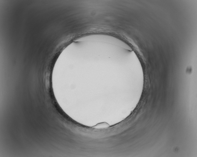 X0000116680019201001251309