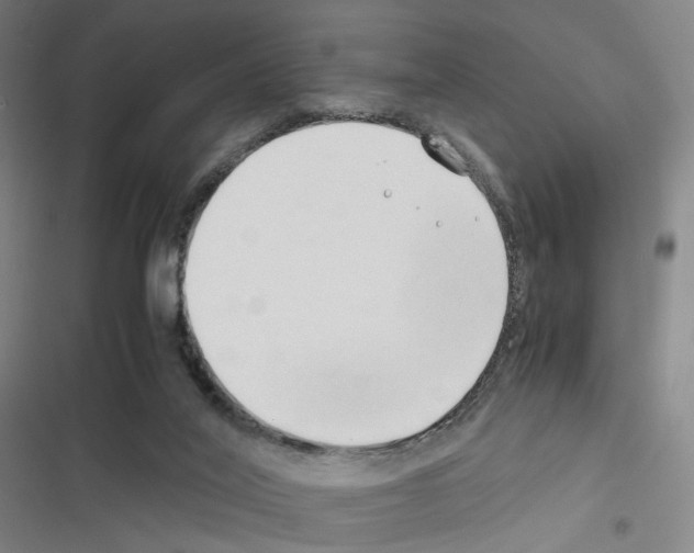 X0000116680020201001251309