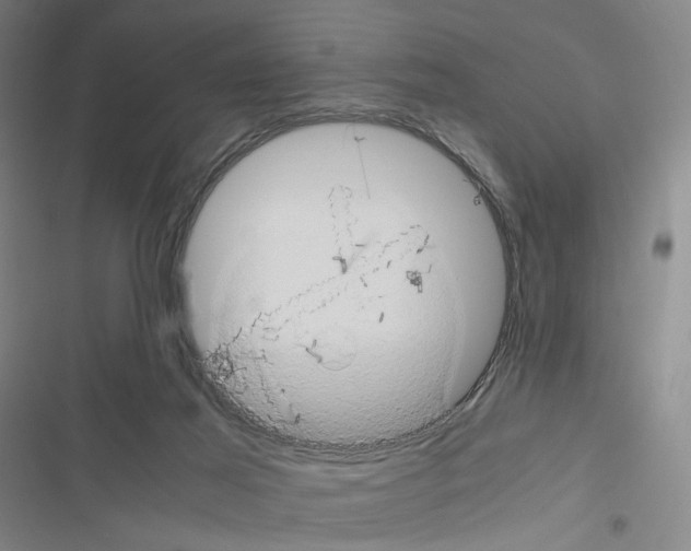 X0000116680021201001251309