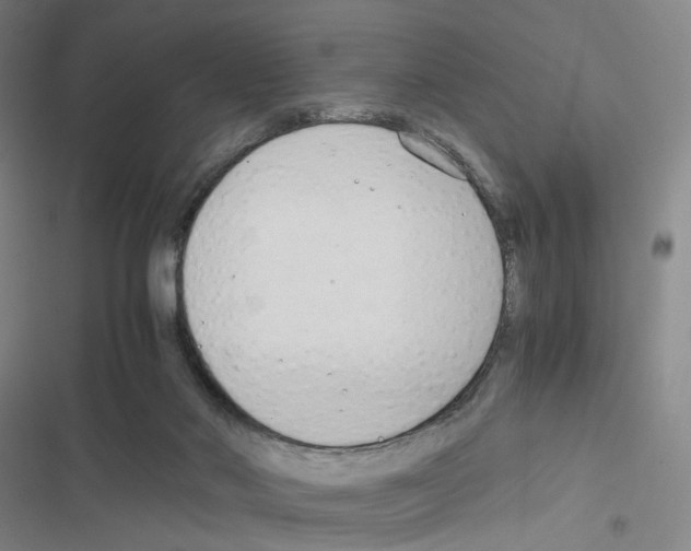 X0000116680022201001251309