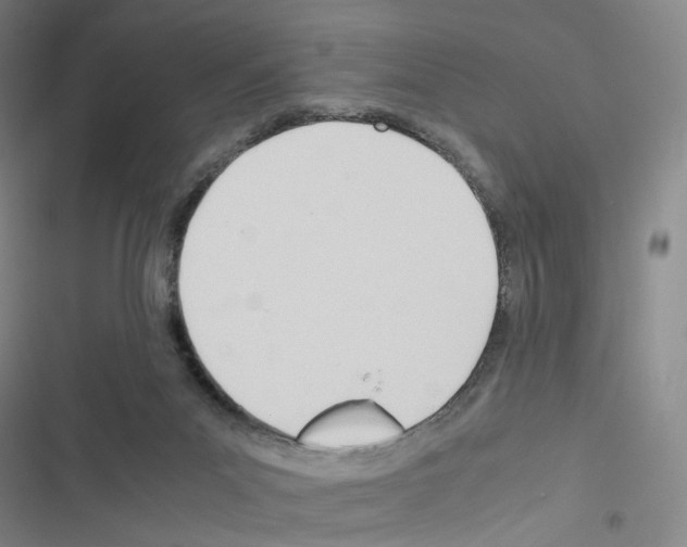 X0000116680023201001251309