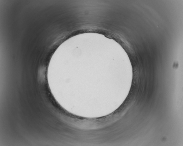 X0000116680024201001251309