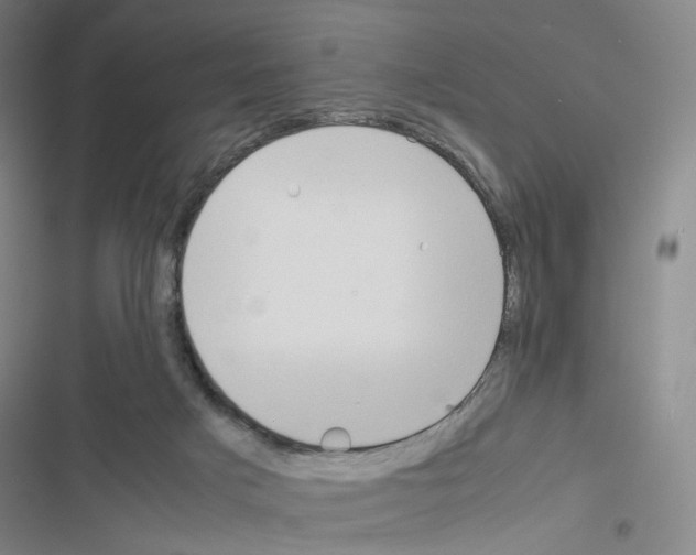 X0000116680025201001251309