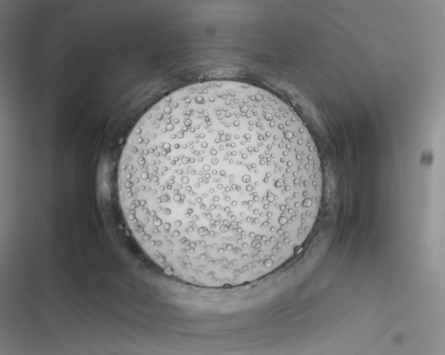 X0000116680026201001251309