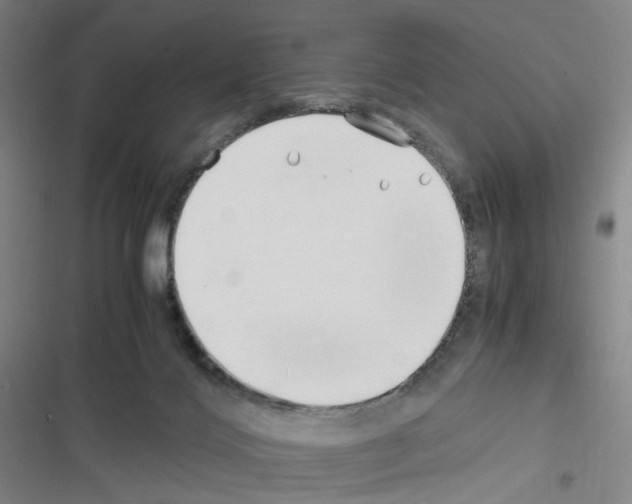 X0000116680028201001251309