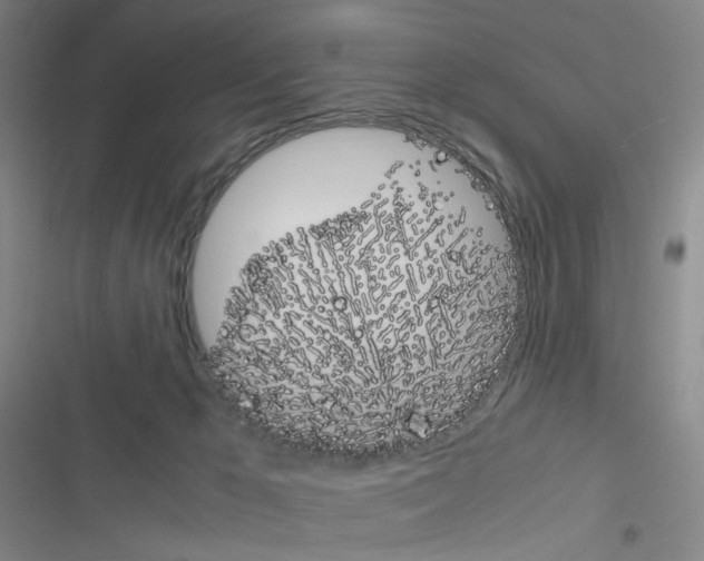 X0000116680029201001251309