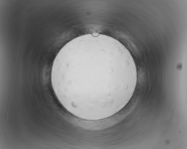 X0000116680030201001251309