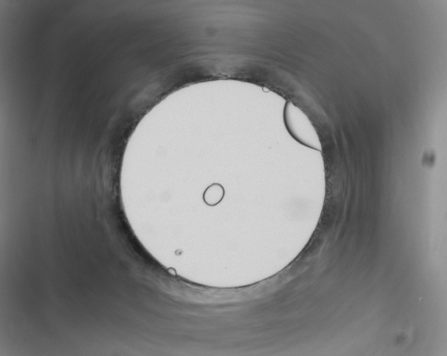 X0000116680031201001251309