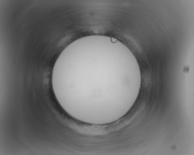 X0000116680032201001251309