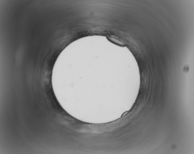 X0000116680033201001251309