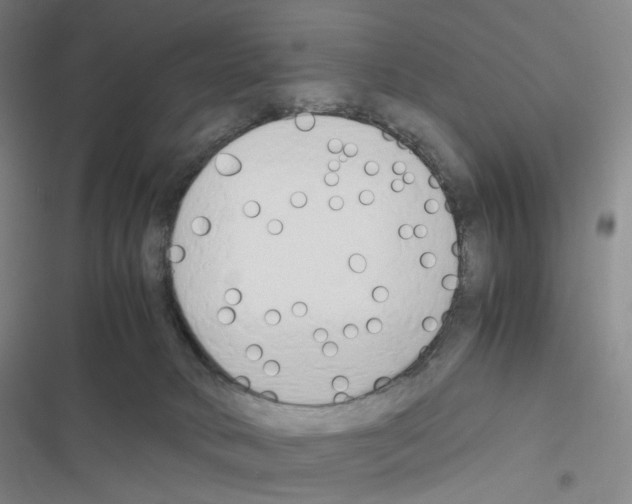 X0000116680034201001251309