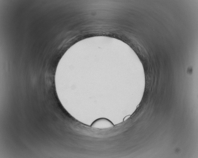 X0000116680035201001251309