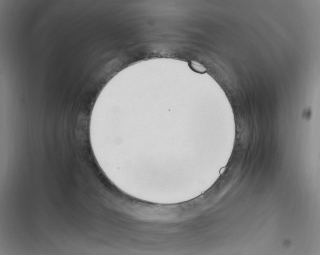 X0000116680036201001251309