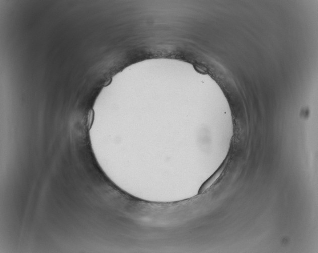 X0000116680037201001251309