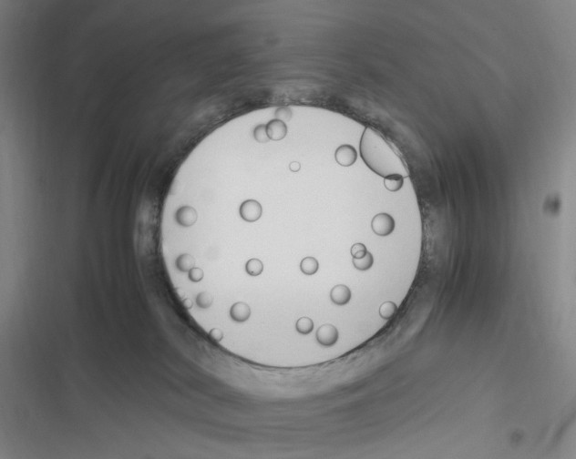 X0000116680038201001251309