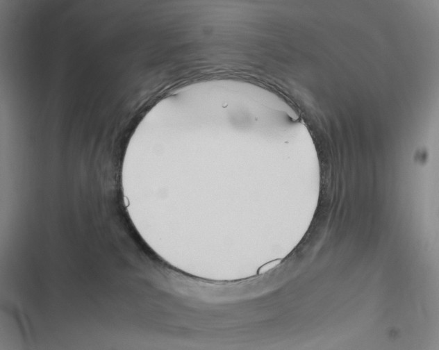 X0000116680039201001251309