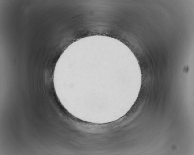 X0000116680040201001251309