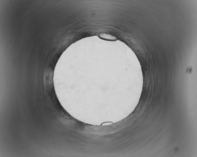 X0000116680041201001251309