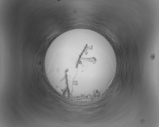 X0000116680043201001251309