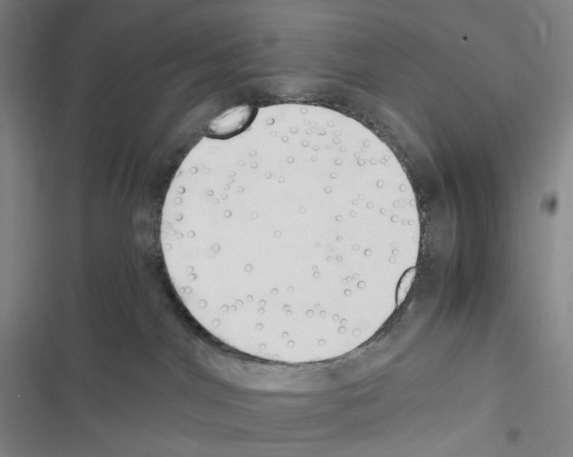 X0000116680044201001251309