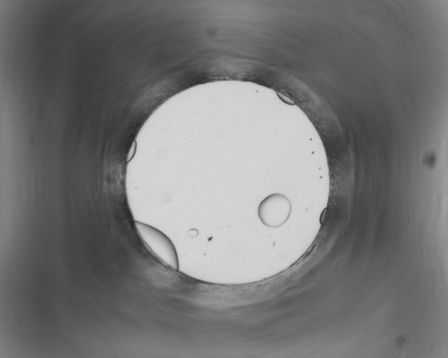 X0000116680045201001251309