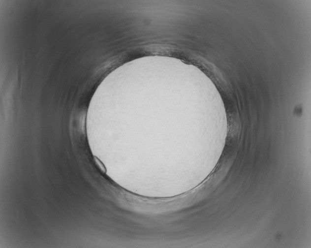 X0000116680047201001251309