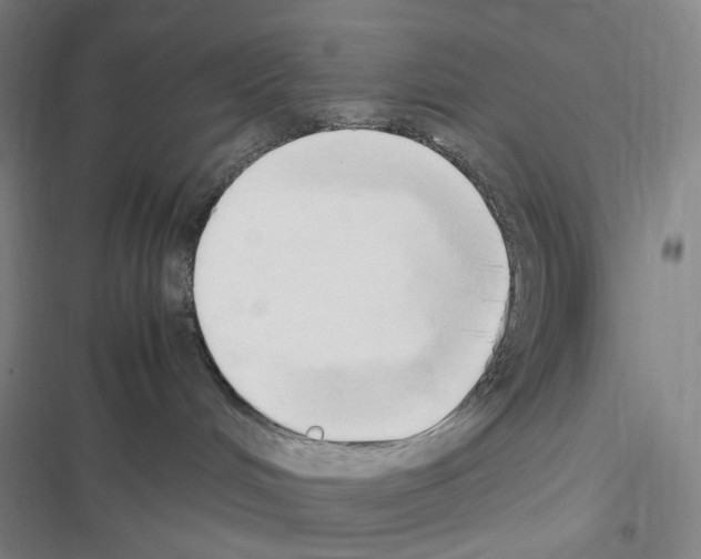 X0000116680048201001251309