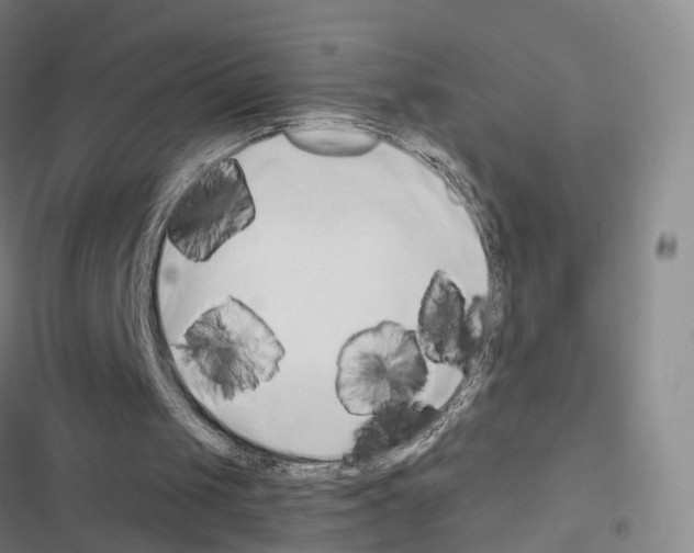 X0000116680049201001251308