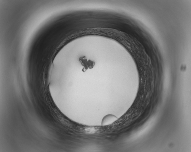 X0000116680050201001251308