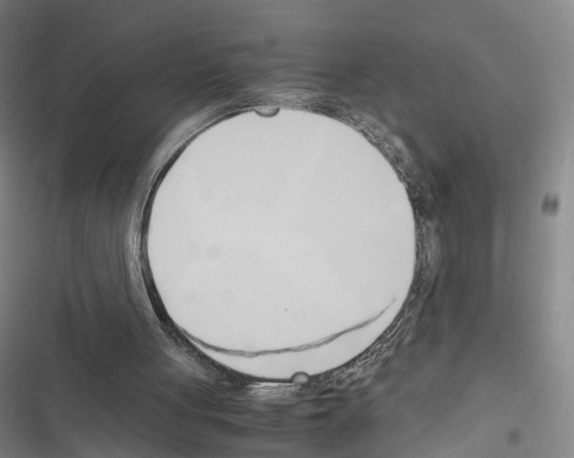 X0000116680051201001251308