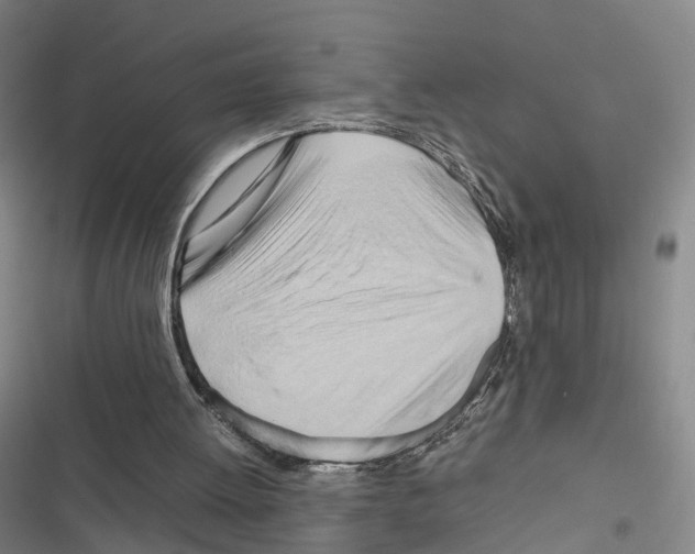 X0000116680052201001251308