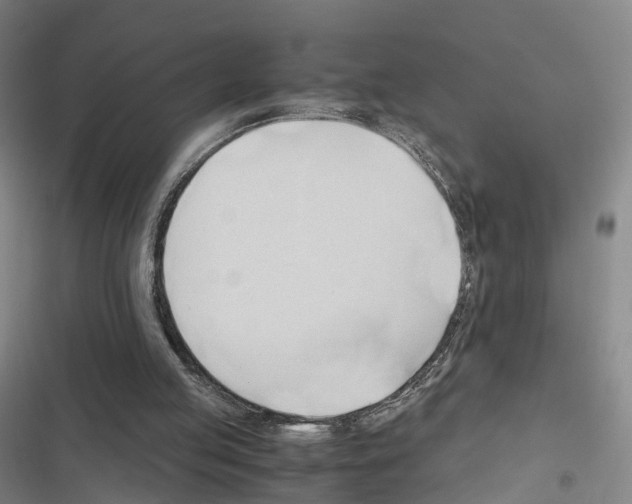 X0000116680053201001251308