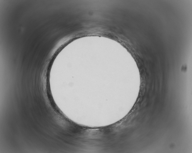 X0000116680054201001251308