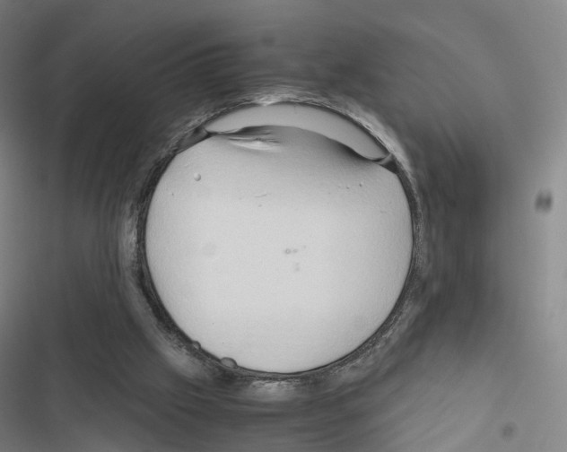 X0000116680057201001251308