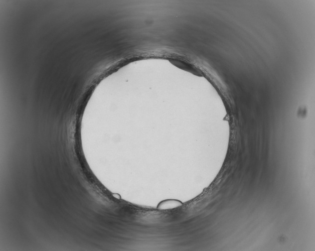 X0000116680058201001251308