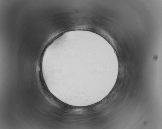 X0000116680059201001251308