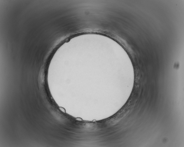 X0000116680060201001251308