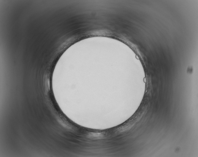 X0000116680061201001251308