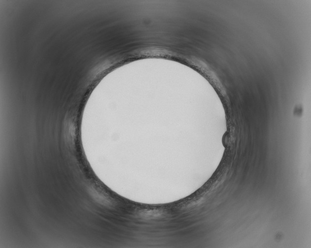 X0000116680063201001251309