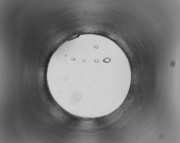 X0000116680066201001251309